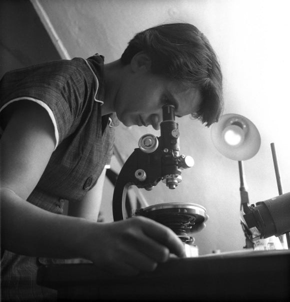 Rosalind Franklin at work in a laboratory: 1954
