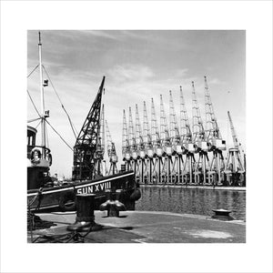 Cranes, West India Dock: 1962