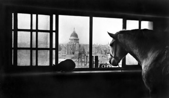 Multi-storey horse stables near Southwark Bridge: 20th century