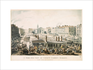 A Bird's Eye View of Covent Garden Market, Taken from the Hummums: 1811