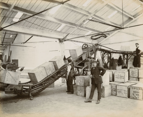 Tea on a conveyor system, Tilbury Docks: c. 1920