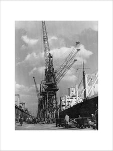 Discharging cargo Royal Albert Dock: 20th Century