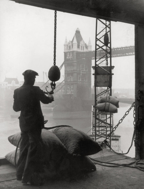 Pool of London Dockworker handling a cargo of bagged nuts 1947.