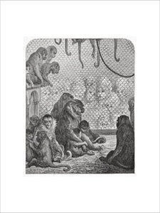 Zoological Gardens - the monkey house: 1872